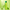 Aloe PDRN Calming Toner