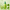 Aloe PDRN Calming Serum