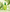 Aloe PDRN Calming Serum