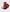 3D Voluming Gloss
